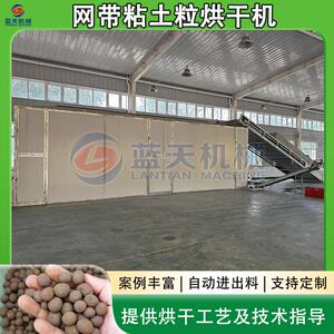 黏土制粒烘干设备大型陶粒膨润土粒脱水干燥机网带粘土粒烘干机
