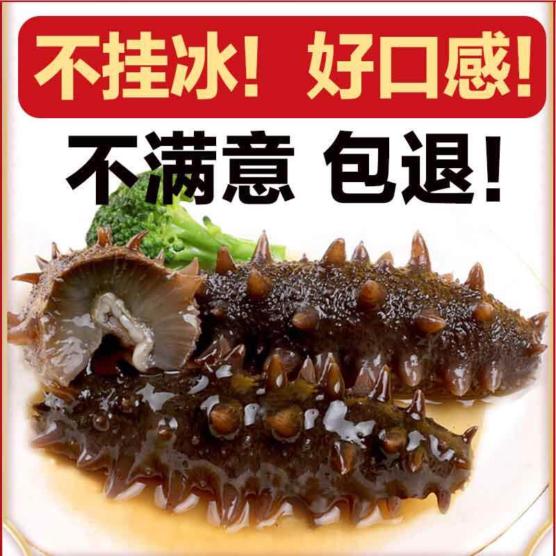 念参堂即食海参500g大连长岛鲜活刺参辽特价海生礼盒单个装