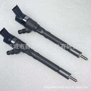共轨喷油器0445110064 27000 27010 适用起亚发动机 33800