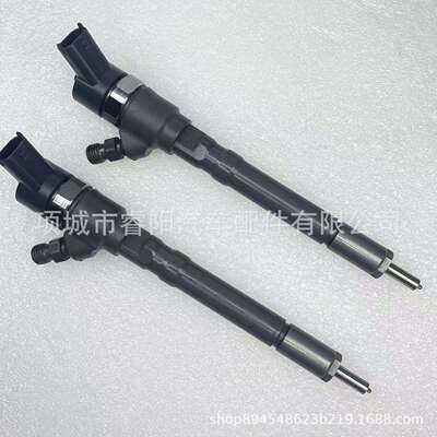 共轨喷油器0445110064 33800-27000 33800-27010 适用起亚发动机
