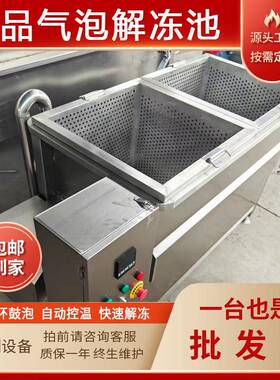 商用羊杂冻盘化冻机 全自动鸡叉骨解冻流水线 鸡胸肉恒温解冻机