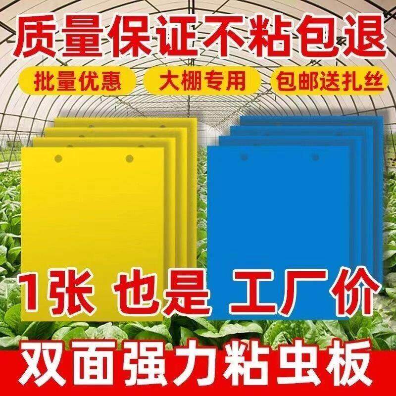 整箱发双面粘虫板大棚黄板黄蓝一体诱虫板果树防虫黄板黄板粘虫板