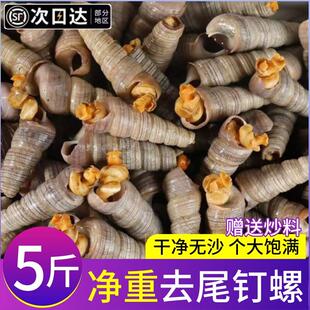 钉螺鲜活去尾新鲜海螺大号锥螺丝捞汁小海鲜麻辣贝类商用顺丰包邮