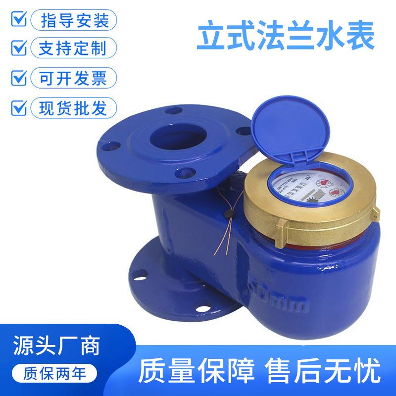 宁波水表竖装下进上出3寸dn80dn100自来水铜罩冷水表立式法兰水表