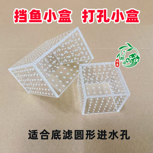 小盒子孔吸鱼其它水族用具设备