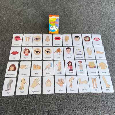 Montessori Flash Cards Cognition Cards for Kids Body Part Fr