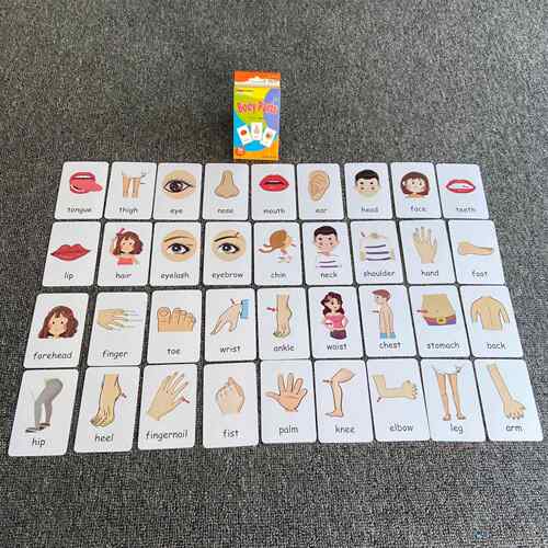 Montessori Flash Cards Cognition Cards for Kids Body Part Fr