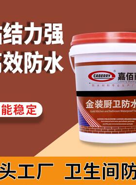 K11通用款厨卫防水宝 室内外卫生间阳台屋顶外墙防水补漏涂料