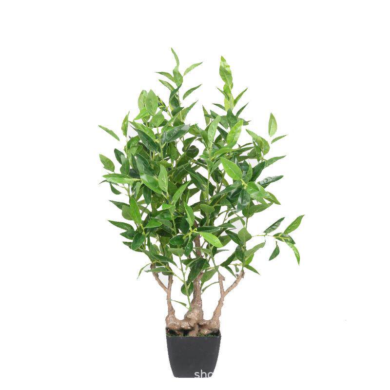 新品特卖仿真植物迷你盆栽橄榄叶绿植栎盆景装饰樟树叶厂家
