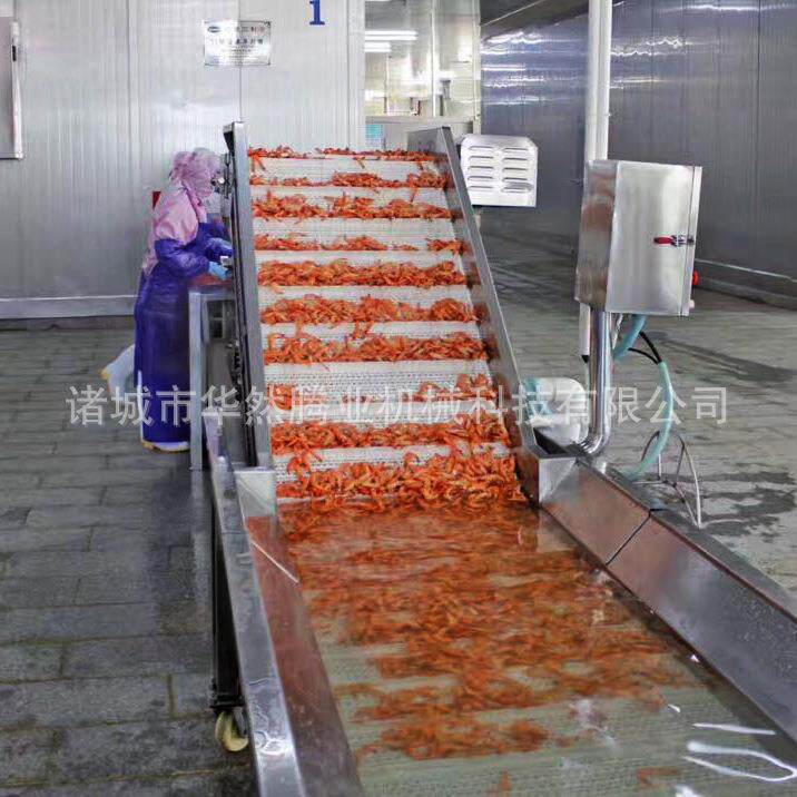 全自动蛤蜊肉清洗漂烫机海蛎子蒸煮机控温精确果蔬漂烫