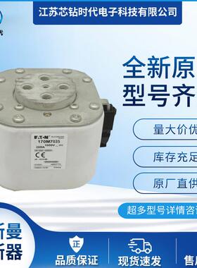 170M6252 170M6253 170M6256巴斯曼BUSSMANN熔断器保险丝