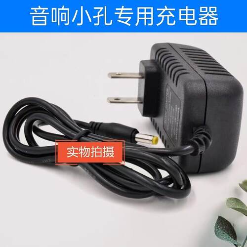 适用索爱SA-F22 ST-809WM有源音箱充电器音响电源5V1A-2A适配器线
