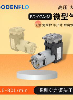 直销12V24V小型BD-07A-M活塞压缩机6.5bar微型高压抽打充气泵