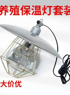 保温灯罩养殖场小鸡育雏仔猪取暖灯金属灯盘网罩陶瓷灯口保温灯套