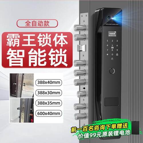 霸王锁体智能锁全自动款人脸识别密码锁家用门锁带监控防盗指纹锁