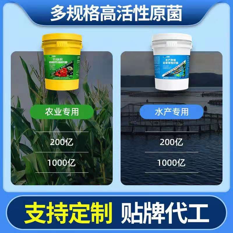 EM菌粉 水产菌养殖 EM原菌 枯草芽孢杆菌 EM菌冻干粉 现货直发