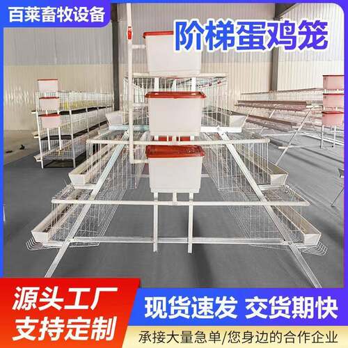 厂家供应阶梯蛋鸡笼坚固耐用防锈防腐镀锌坚固耐用，防锈防腐