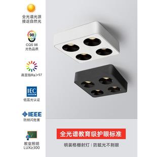 客厅筒灯明装灯无主灯卧室照明防眩斗胆射灯双头光谱超薄吸顶全