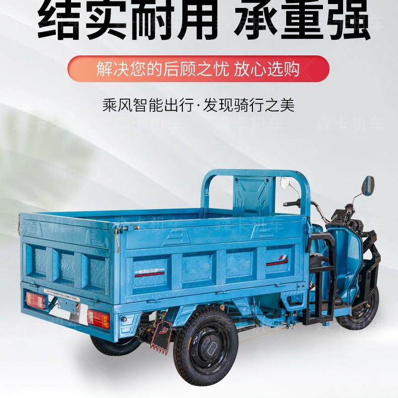 电动三轮车拉货载重王三轮电动电瓶车家用大型农用三轮车摆摊快递