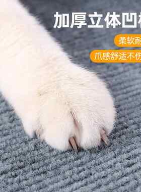 新款直销猫爬垫任意裁剪逗猫神器耐磨墙角蹭毛器多功能墙贴猫咪攀
