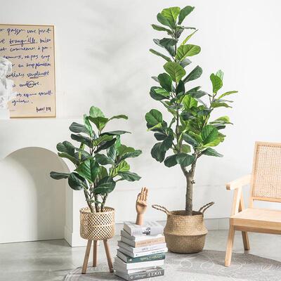 仿真植物琴叶榕盆栽大型落地室内家居装扮拍摄造型盆景假绿植盆栽