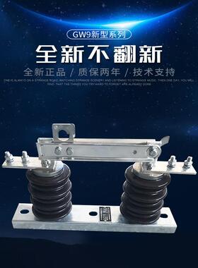 10KV柱上隔离刀闸HGW9-12G/200A400A630A1000A户外隔离开关GW9