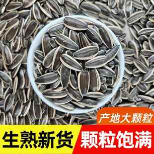 生瓜子363葵花籽特大新货内蒙古大颗粒原味熟炒货散装零食1-5斤
