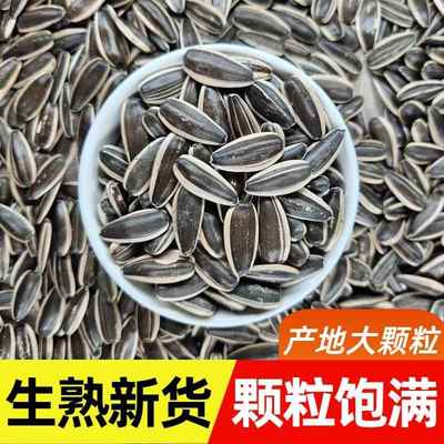 生瓜子363葵花籽特大新货内蒙古大颗粒原味熟炒货散装零食1-5斤