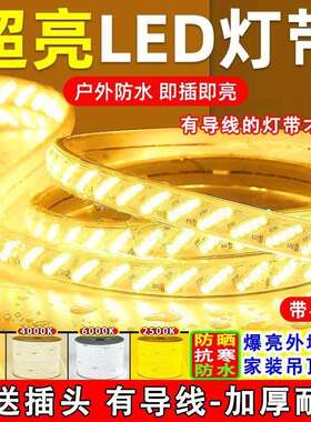 220v灯带led灯家用顶户外工程亮化防水客厅招牌五排超亮防水线灯