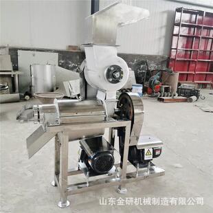 大型螺旋凤梨苹果榨汁机脆枣荔子西梅破碎打浆机柠檬橙子挤汁机