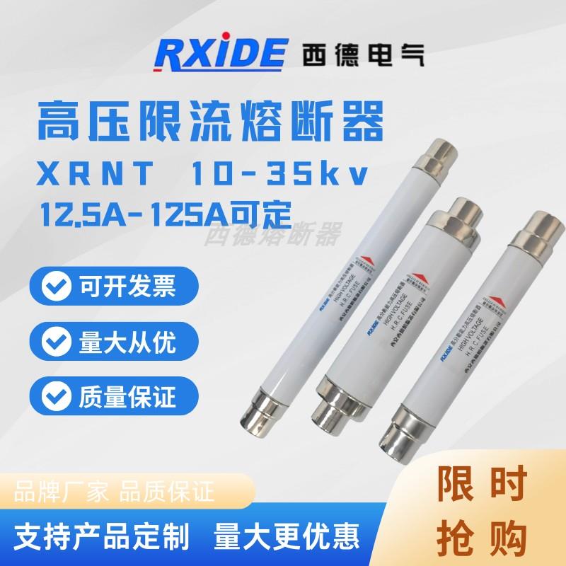 高压熔断器XRNT1-10/12KV-/5A-200A保险熔管PT电压流互感器63A80