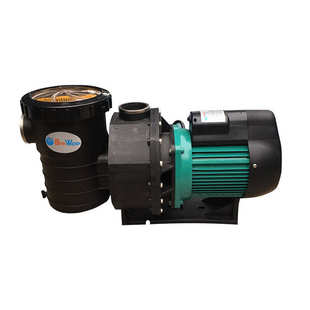 厂家直销离心自吸水泵砂滤过滤泵鱼池水下池底吸污泵泳池水泵