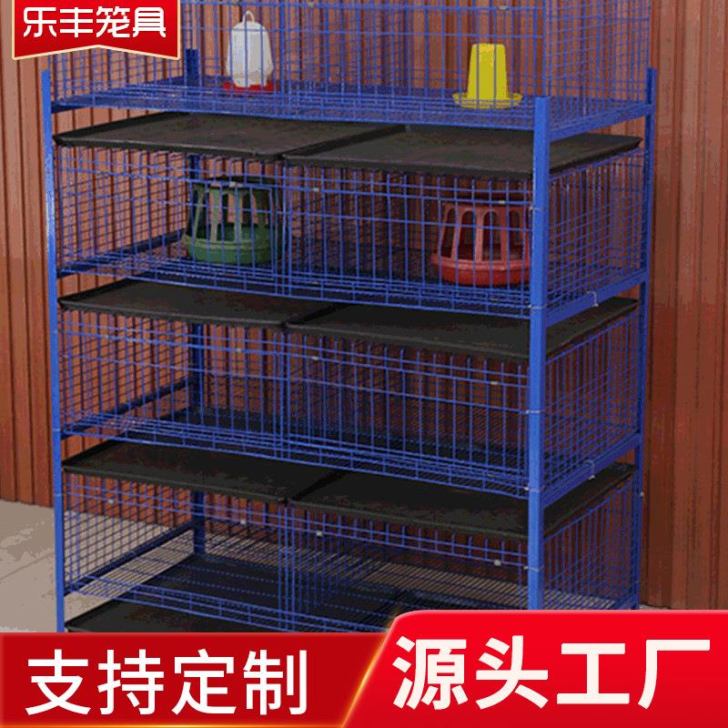 四层立体式轻重型小鸡笼育雏笼养殖设备畜牧鸡笼厂家