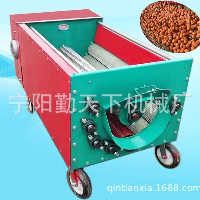 自动青皮核桃去皮机鲜核桃脱皮清洗核桃剥皮机核桃脱皮精洗机