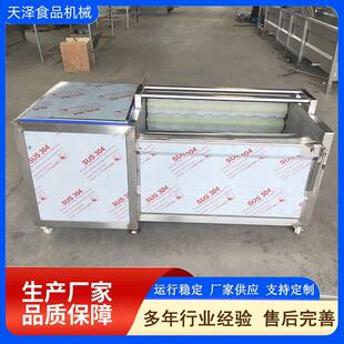 厂家直销毛辊清洗机304不锈钢毛刷去皮机根茎类果蔬去泥清洗设备