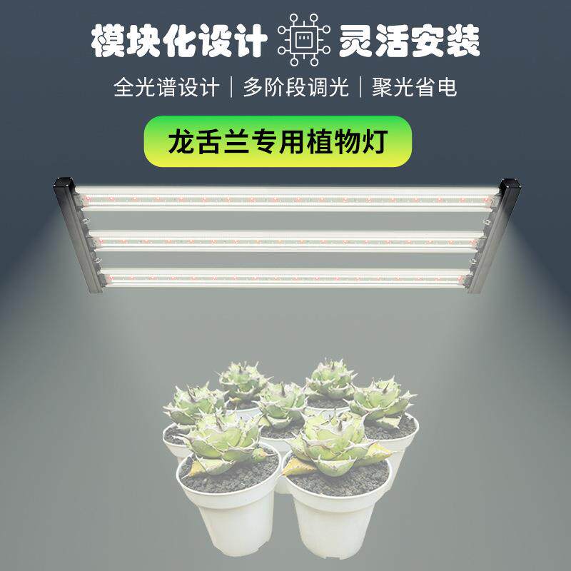全光谱植物生长灯多肉龙舌兰专用补光灯家层架植物LED室内仿太阳