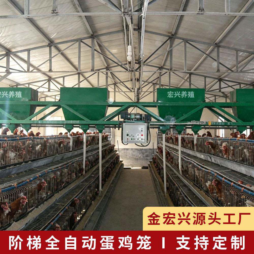 全自动大层叠蛋鸡笼自动化养殖笼具镀锌养鸡场蛋鸡设备大型鸡笼