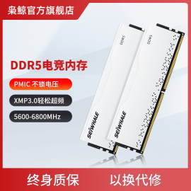 枭鲸审判者ddr5台式机，内存条16g32g560064006800海力士6000