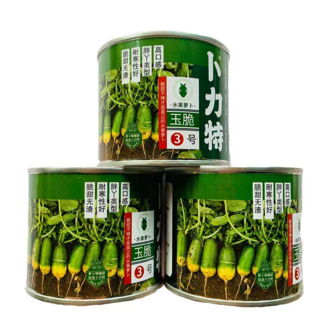 适应性强 脆甜不辣 早熟耐抽苔 给种植户 胖丫萝卜卜力特玉脆3