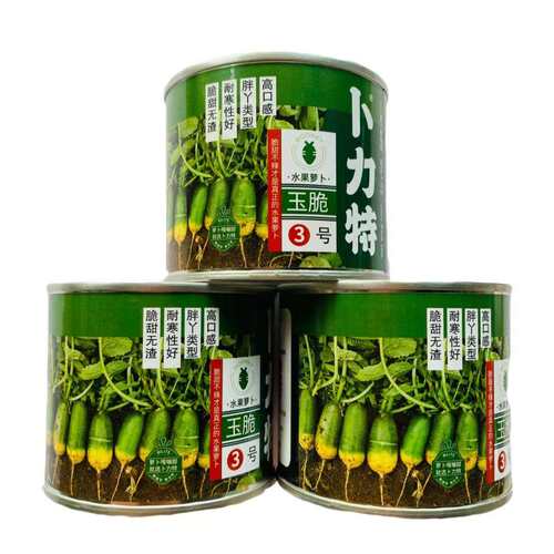 适应性强 脆甜不辣 早熟耐抽苔 给种植户 胖丫萝卜卜力特玉脆3
