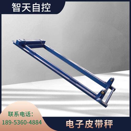 厂家直供电子皮带秤 吊挂皮带称 铁矿用皮带输送机计量秤