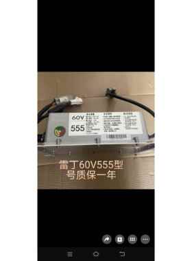 雷丁D50D70D80比德文M6M7比德文V7宝路达电动车车载充电机 充电器