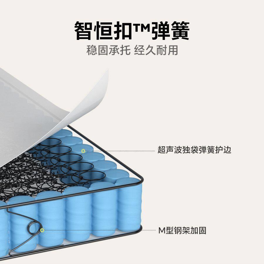 22cm席梦思床垫家用卧室0胶水天然椰棕护脊海绵乳胶独袋弹簧床垫