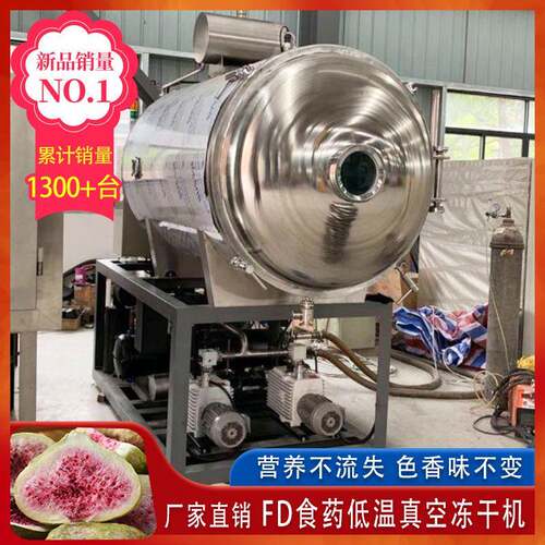 山东FD真空冷冻干燥机 冻干凤梨实验室设备 小型宠物食品冻干机厂