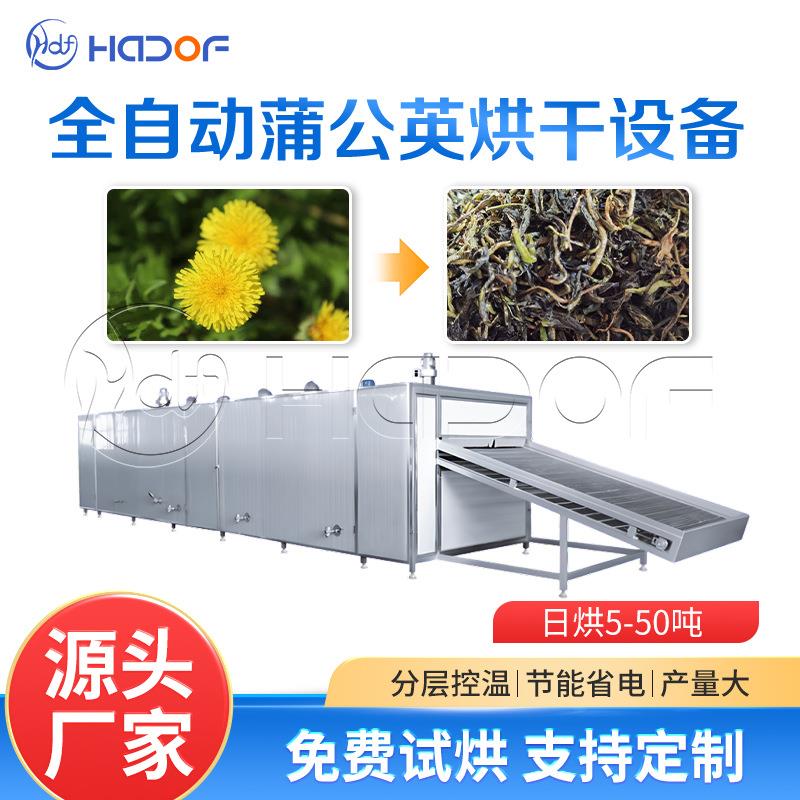 中药材网带烘干机连续式蒲公英脱水干燥机中草药清洗切片干燥产线