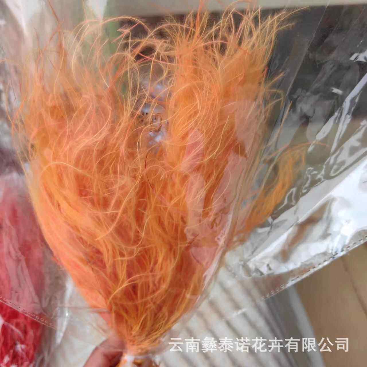 新款直销永生花羽毛草梦幻草干花云南现货办公室装饰花材