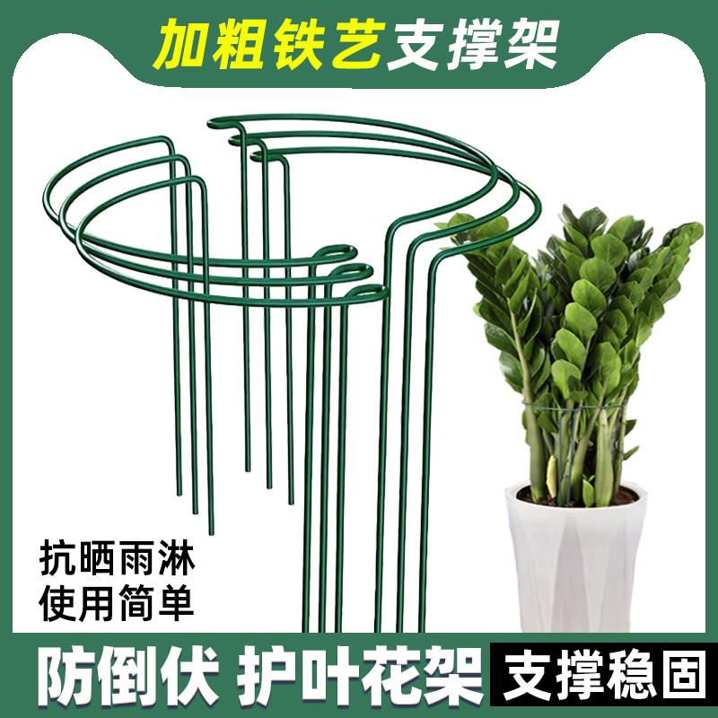 花支撑架花架支伸缩杆爬藤植物固定架阳台花架铁艺金钱树护叶架园图片