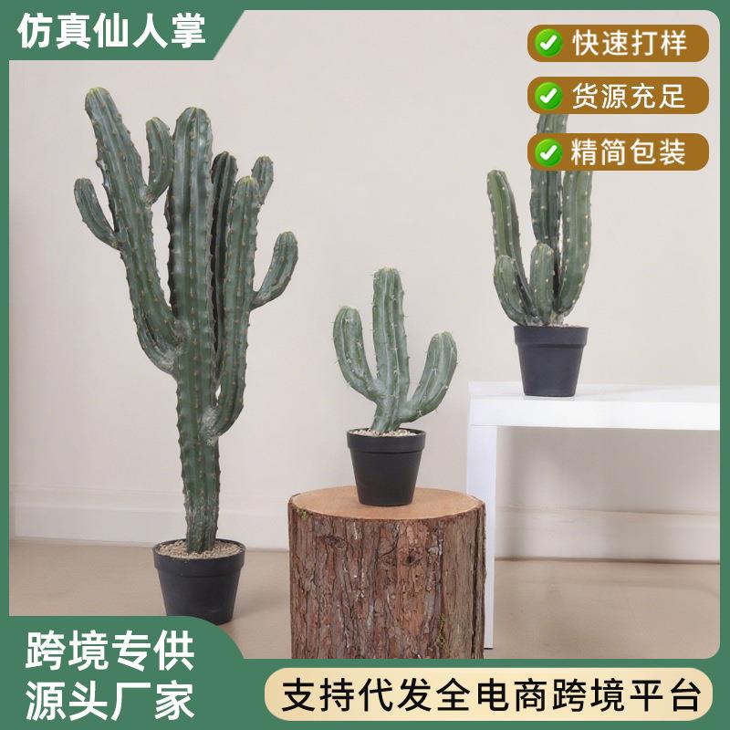 北欧风格仿真仙人掌盆栽沙生植物造景龙神柱仙人掌柱门店装饰摆件