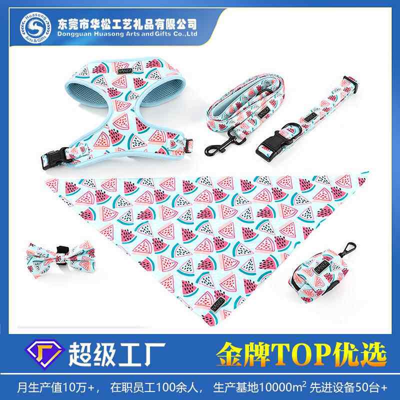 现货背心式宠物胸背带牵引绳套装网布透气遛狗绳子狗狗牵引绳