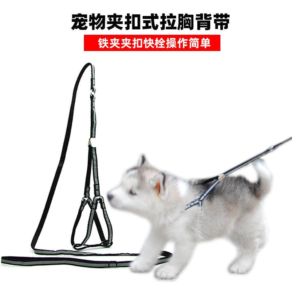 宠物快栓铁夹胸背带牵引绳猫狗胸背带宠物用品狗绳狗链